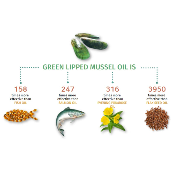 About Greenshell™ Mussel